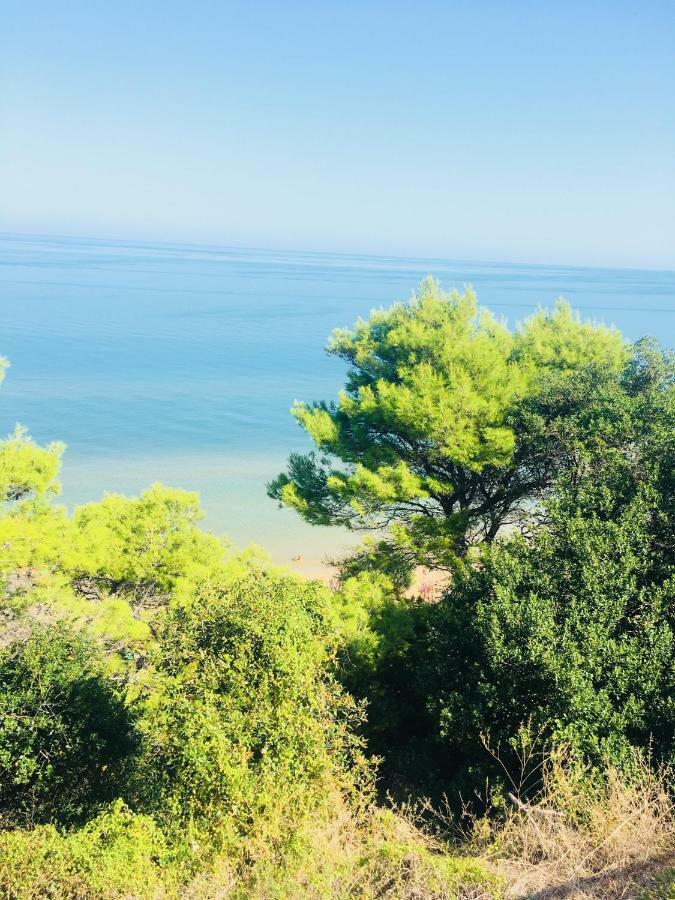 Casa Michela Villa Vico Del Gargano Eksteriør bilde
