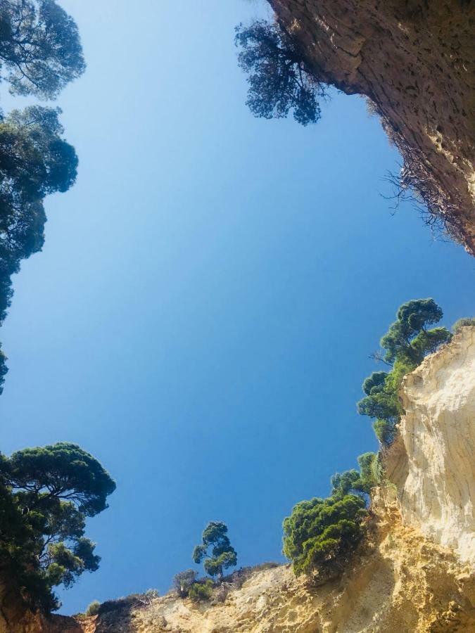 Casa Michela Villa Vico Del Gargano Eksteriør bilde